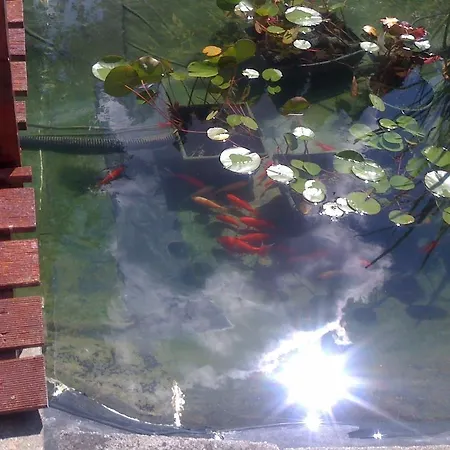 All-inn بيت ضيافة